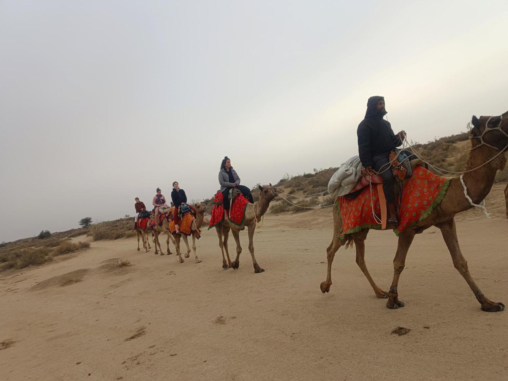 Ideal Guest House Jaisalmer Buitenkant foto